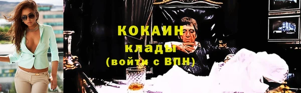 стаф Алзамай