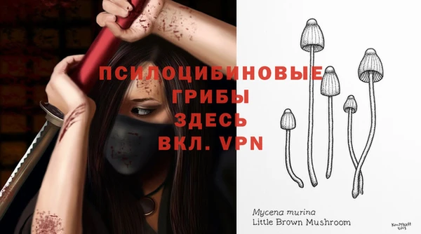 спиды Алексин