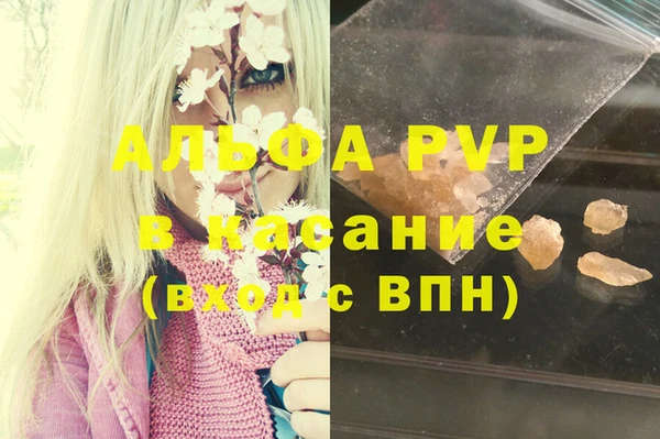 стаф Алзамай