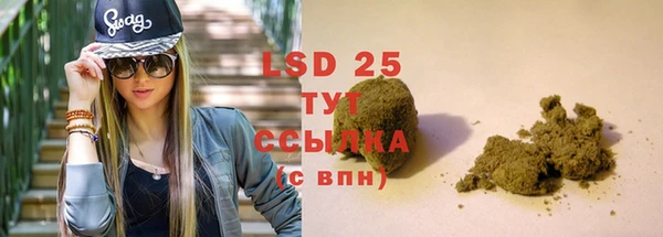 стаф Алзамай