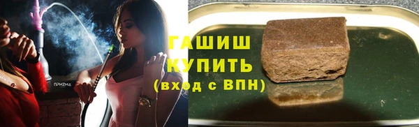 стаф Алзамай