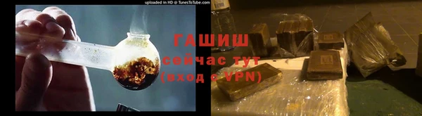 стаф Алзамай