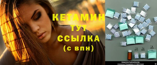 стаф Алзамай